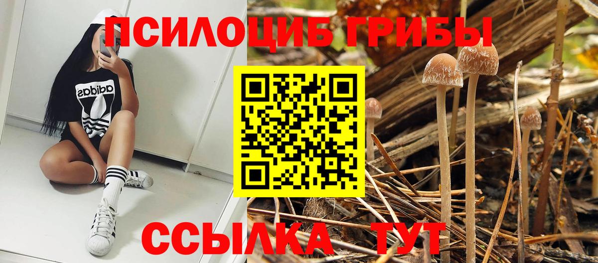 Надым  Псилоцибиновые грибы прущие грибы  Вход с VPN  Галлюциногенные грибы мухоморы 